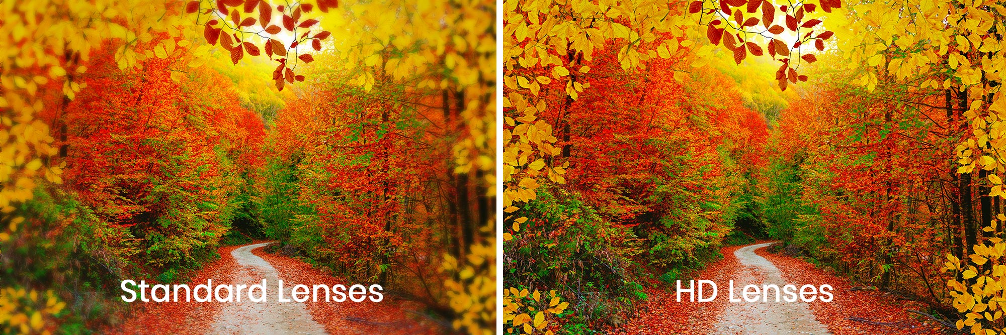 Optical Shop Tonawanda Optical Gallery Amherst Vision Care